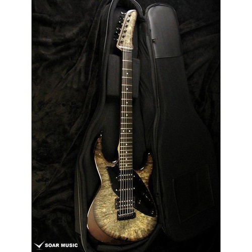 James tyler hsh gitarre made - james,